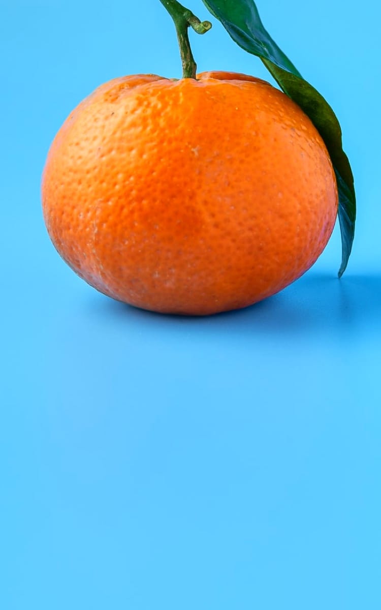 Orange slice close-up, representing photography